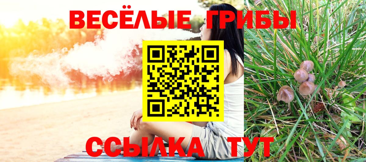 Псилоцибиновые грибы мицелий  Вход с VPN  Нижнекамск 