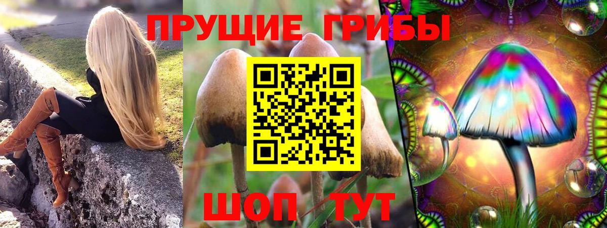 Псилоцибиновые грибы ЛСД Нижнекамск